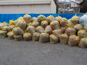 汐入川清掃活動風景その5