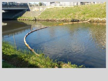 船場川清掃活動風景その2