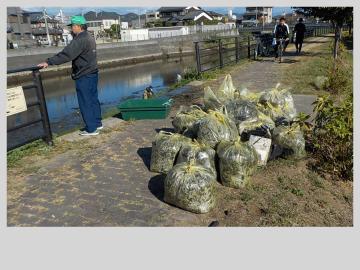 船場川清掃活動風景その5