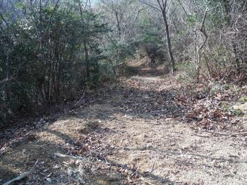 牧野自然公園の森林内