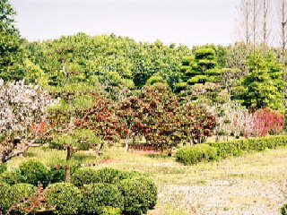 花木園の写真