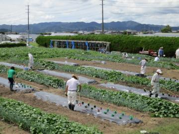 野菜コース実習畑の風景