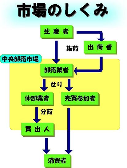 生鮮食料品の流れ図