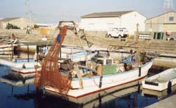 小型底びき網漁船（妻鹿漁港）の写真