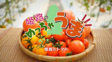 「第12回姫路のトマト」のサムネイル画像