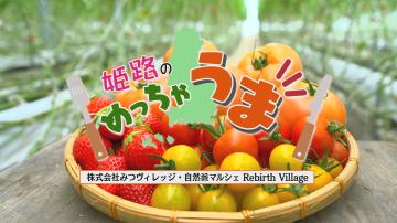 「第17回農家レストラン（リバースヴィレッジ）」のサムネイル画像