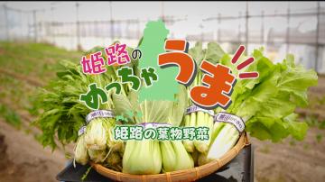 「第7回姫路の葉物野菜」のサムネイル画像