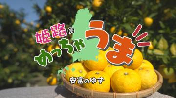 「第9回安富のゆず」のサムネイル画像