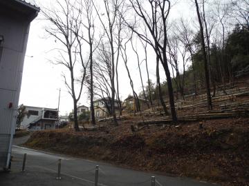 里山防災林整備の完了写真(2)