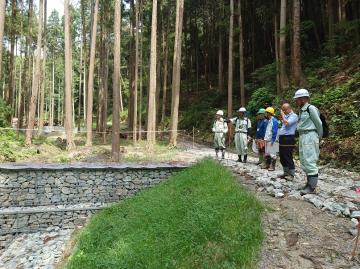 令和7年7月夢咲山で森林大学校生が現地講習を受ける様子2