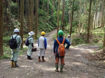 令和7年7月夢咲山で森林大学校生が現地講習を受ける様子3