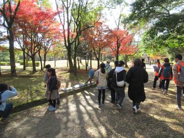 参加者が紅葉を眺めながら散策する様子