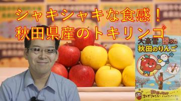 シャキシャキな食感秋田県産のトキリンゴの動画のユーチューブへのリンクです。