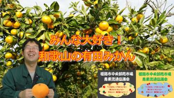 みんな大好き和歌山の有田みかんの動画のユーチューブへのリンクです。