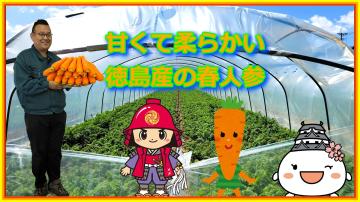 甘くて柔らかい徳島県産の春人参の動画のユーチューブへのリンクです。