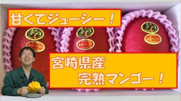 甘くてジューシー宮崎県産完熟マンゴーの動画のユーチューブへのリンクです。