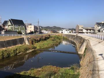 天川の写真