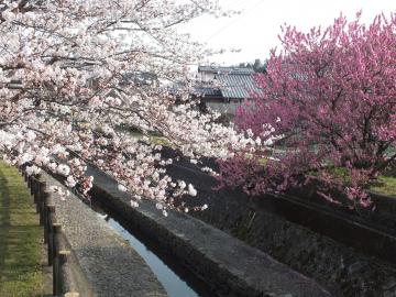 学校の近くにある川の写真