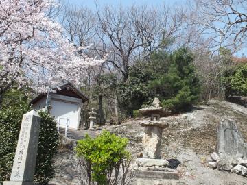 学校の正面にある山の写真
