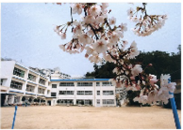 春の坊勢中学校