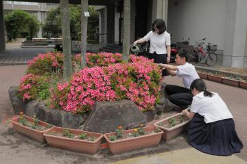 園芸部の活動