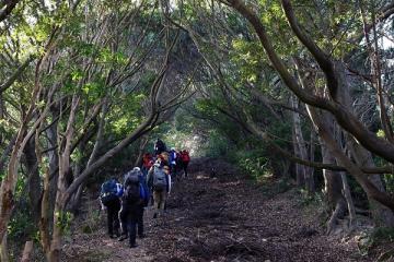 冬季登山訓練の様子