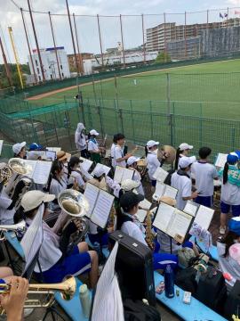第107回全国高等学校野球選手権兵庫大会で応援をする吹奏楽部員の様子9