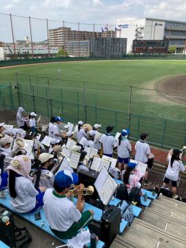 第107回全国高等学校野球選手権兵庫大会で応援をする吹奏楽部員の様子5