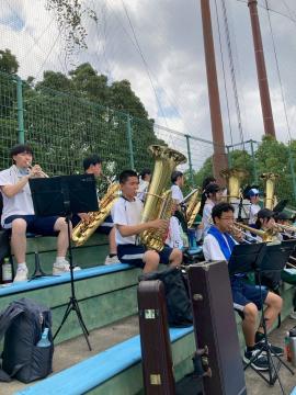 第107回全国高等学校野球選手権兵庫大会で応援をする吹奏楽部員の様子4