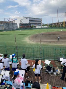 第107回全国高等学校野球選手権兵庫大会で応援をする吹奏楽部員の様子3