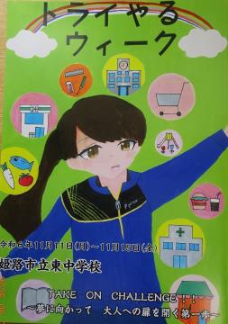 トライやる