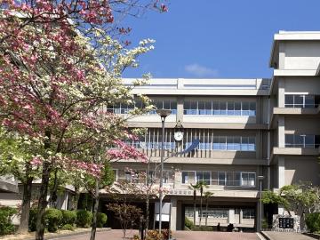 姫路高校4月校門からの風景
