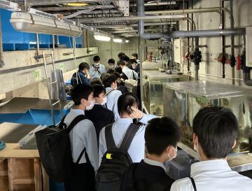 水族館のバックヤード見学