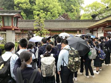 弱めの雨が降っていました