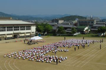 校舎から見た全校児童生徒