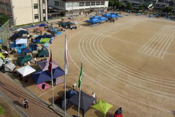 テントの花が咲いた会場