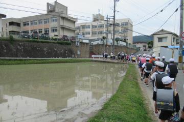 通学路の田んぼと子どもたち