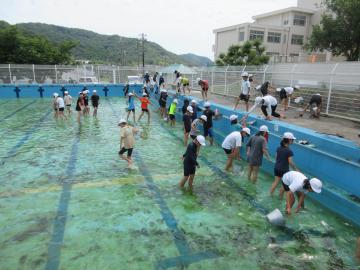 ブラシやたわしで汚れ取り