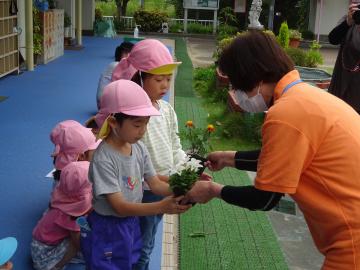 花の苗を植える様子その2