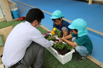 花の苗を植える様子その3