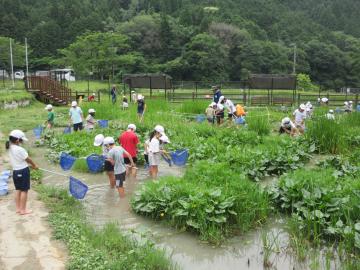 伊勢自然の里の「じゃぶじゃぶ池」