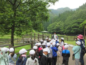 里山探検に出発