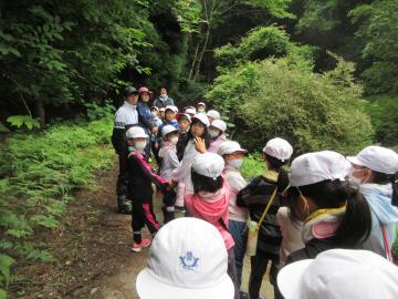 里山に生きる生き物たちを探す