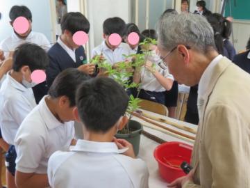 和紙の原料を手に取る6年生