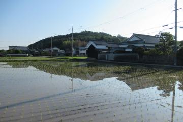 風のない晴れた朝の風景