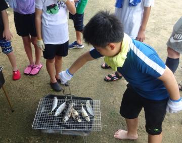 魚を焼く児童の写真
