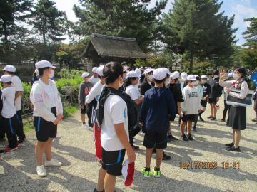 法隆寺の説明を聞いています