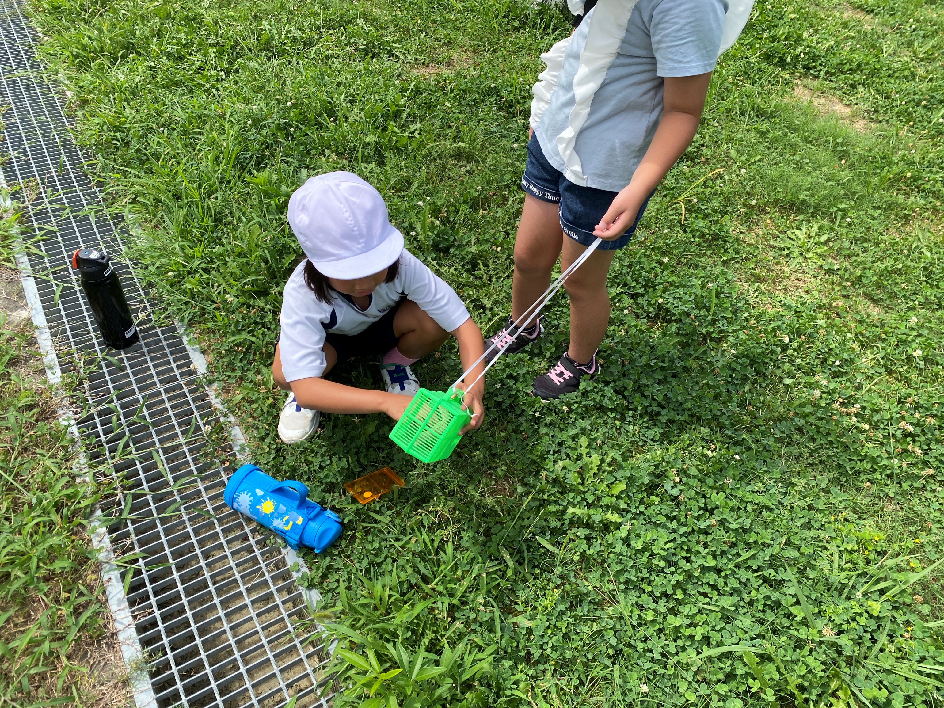 生き物を探す児童たちの様子その2