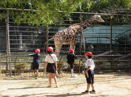 動物園の探索の様子その3