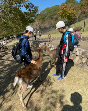 修学旅行の様子その2